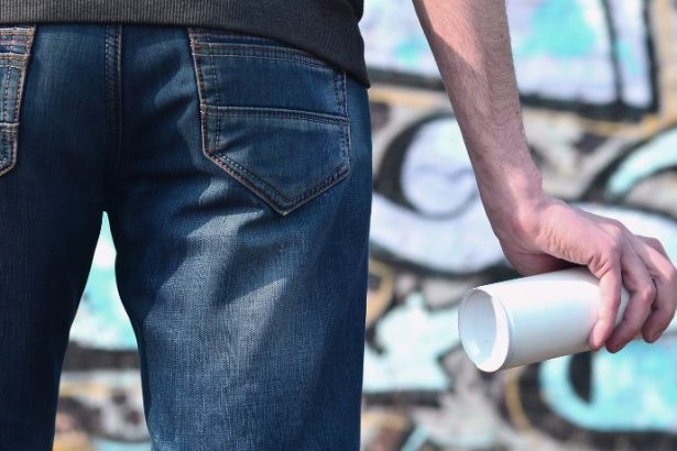 Multa de R$ 98 mil por vandalismo em Palmas levanta debate sobre punição e prevenção urbana