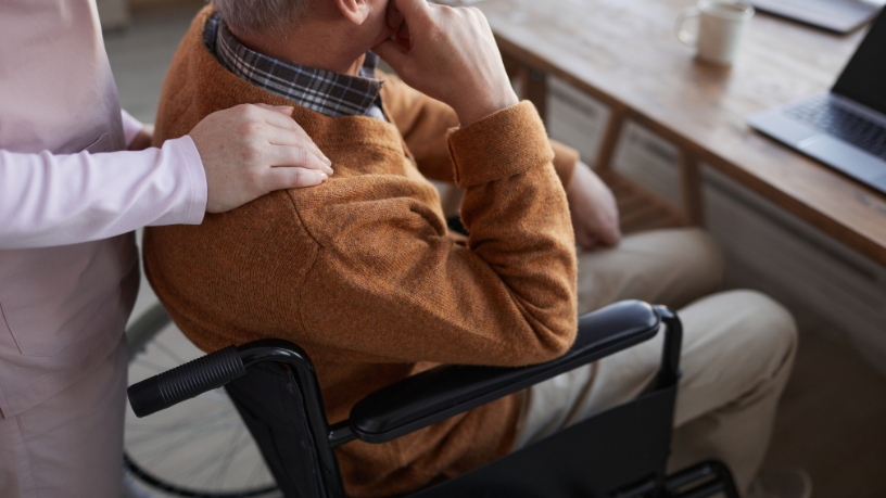 Sindnapi - Sindicato Nacional dos Aposentados, Pensionistas e Idosos