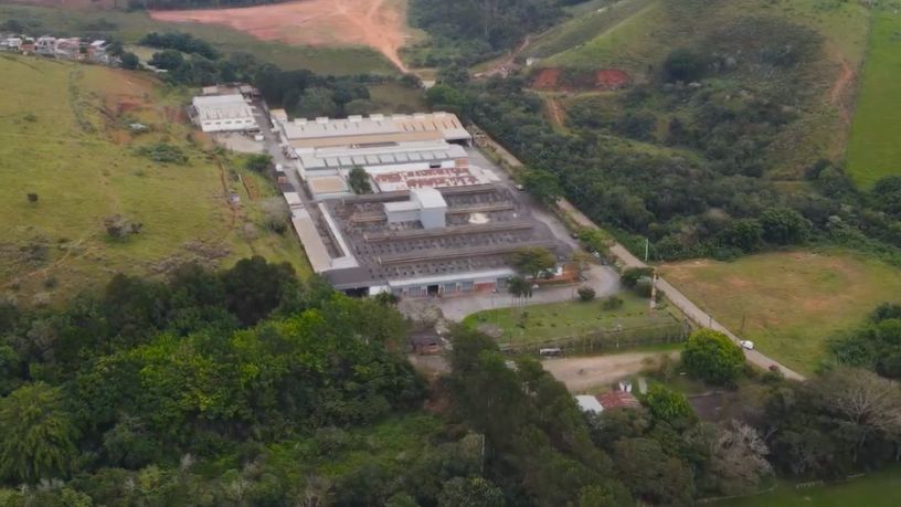 Família Shih